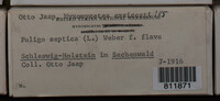 Image Associated With the Occurence